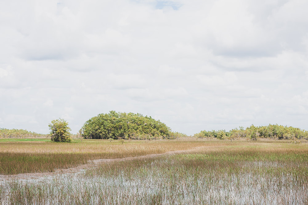 Florida Travel Guide - The Everglades