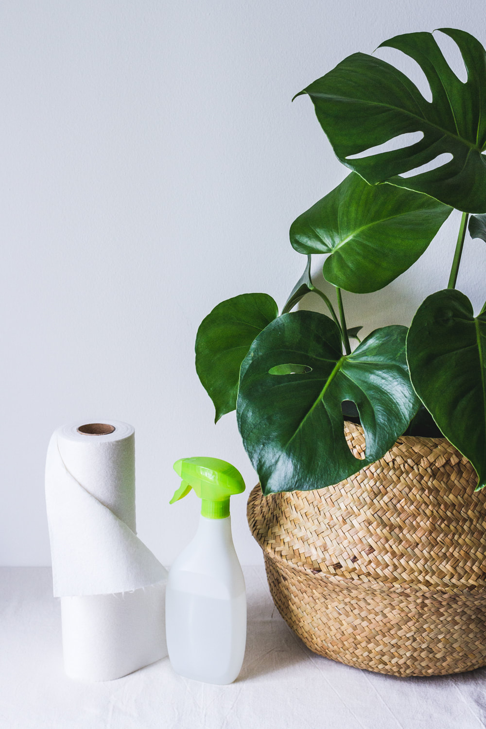 Eco-Friendly Things for the Home