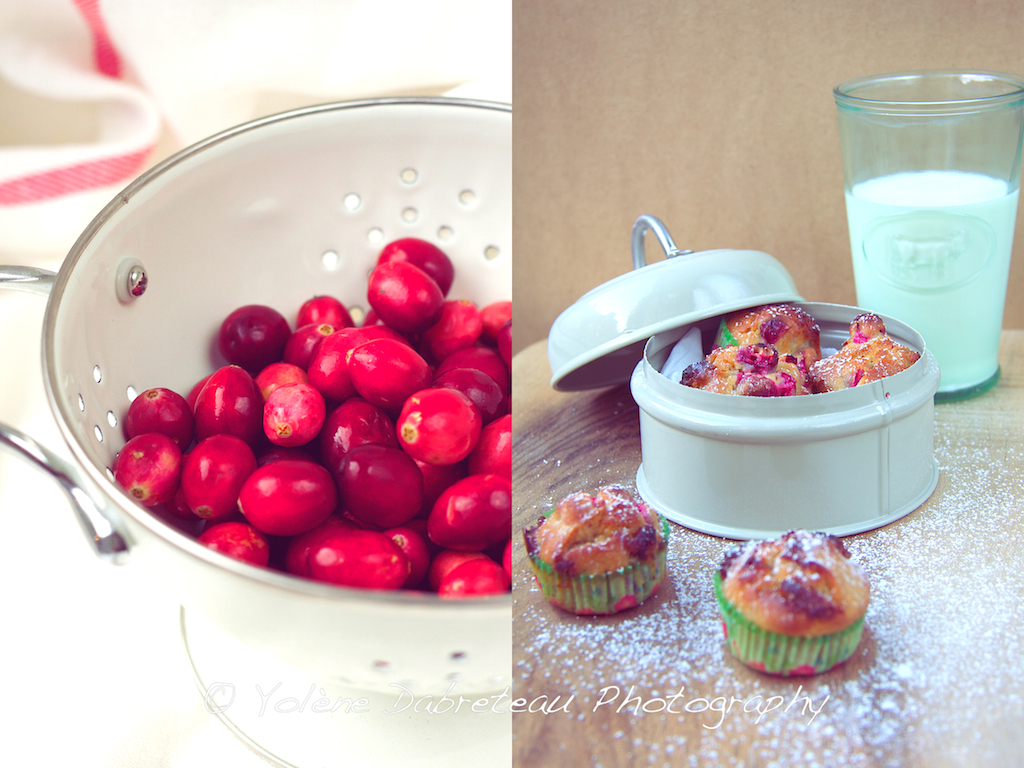Cranberry and White Chocolate Mini Christmas Muffins Recipe