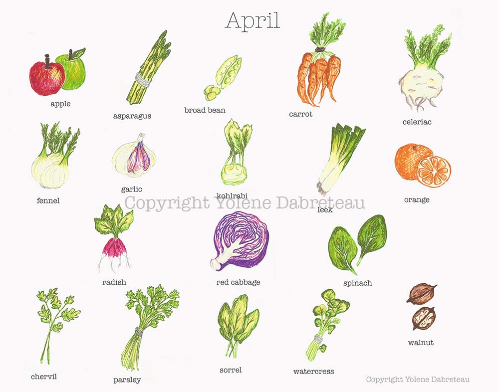 Seasonal fruit and vegetables calendar for the month of April