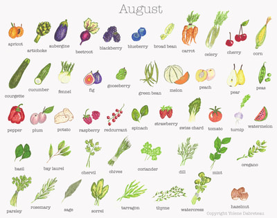Seasonal fruit and vegetables calendar for the month of August
