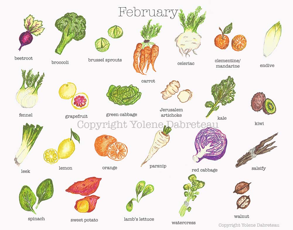 February Fruit and Vegetables Seasonal Calendar - Illustration: Yolene Dabreteau