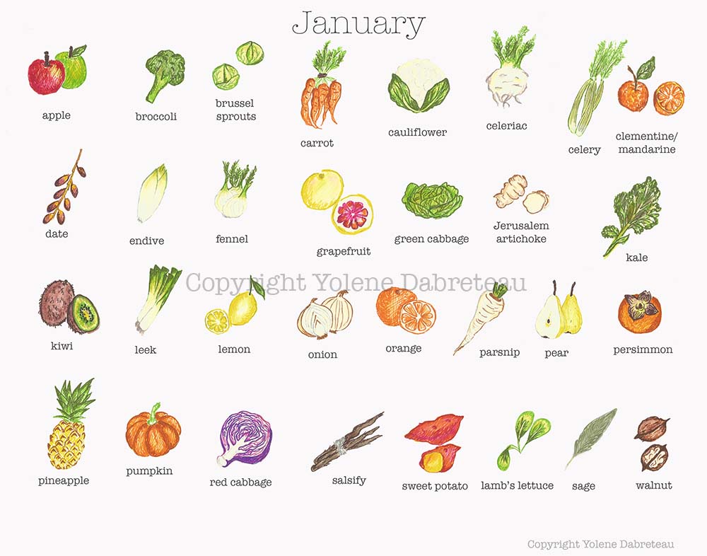 January Fruit and Vegetables Seasonal Calendar