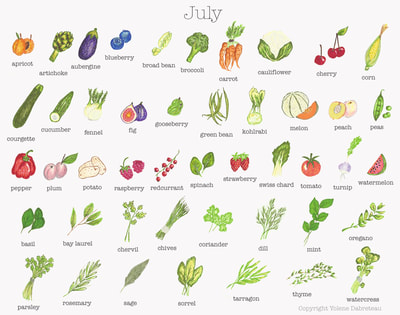 Seasonal fruit and vegetables calendar for the month of July