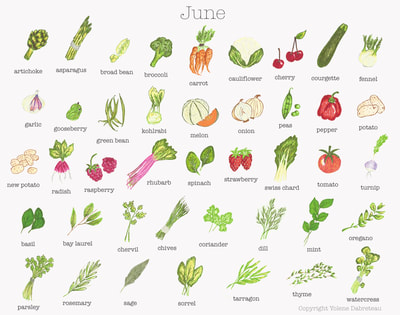 Seasonal fruit and vegetables calendar for the month of June