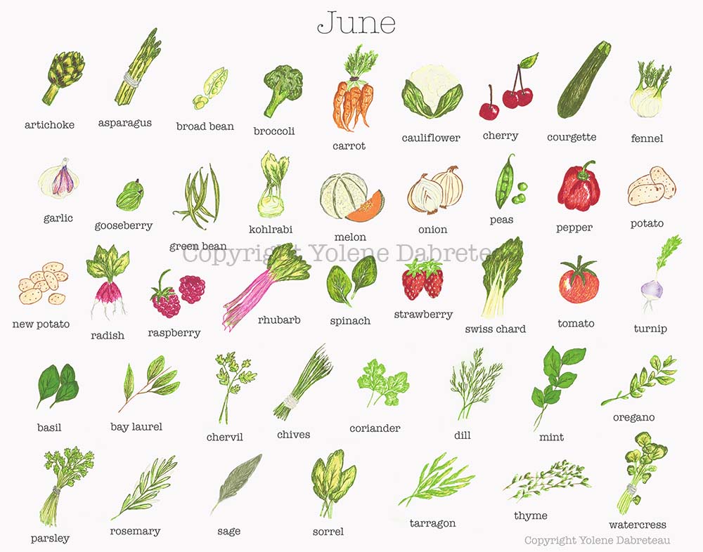 Seasonal fruit and vegetables calendar for the month of June