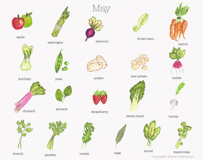 Seasonal fruit and vegetables calendar for the month of May