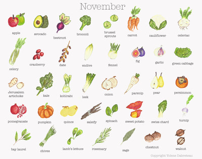 Seasonal fruit and vegetables calendar for the month of November