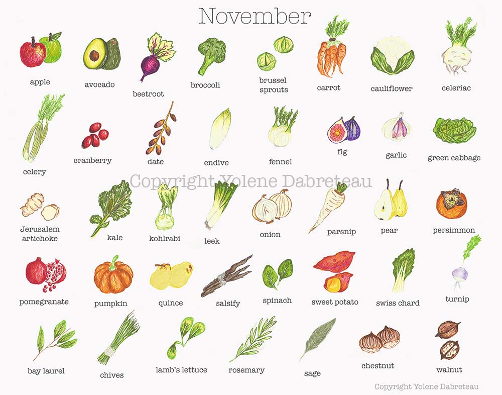November Fruit and Vegetables Seasonal Calendar