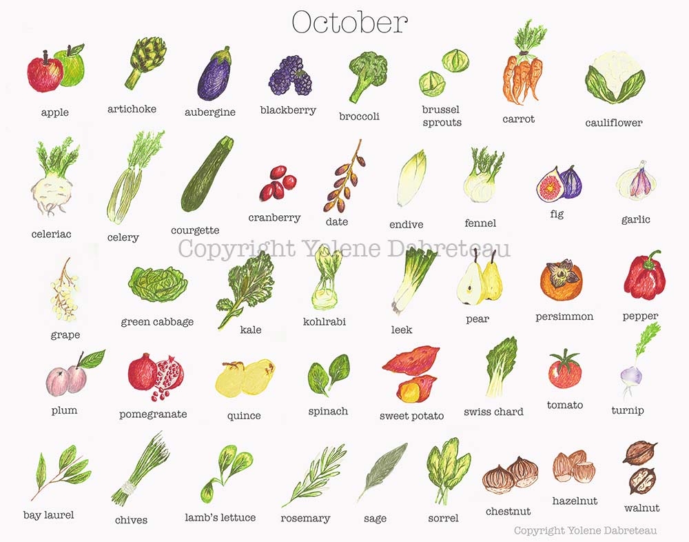 October Fruit and Vegetables Seasonal Calendar