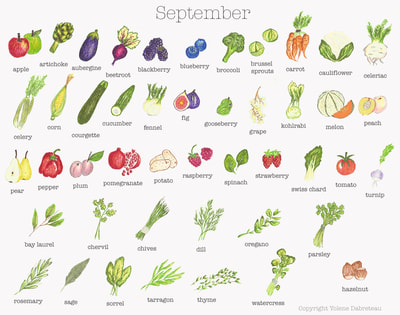 Seasonal fruit and vegetables calendar for the month of September